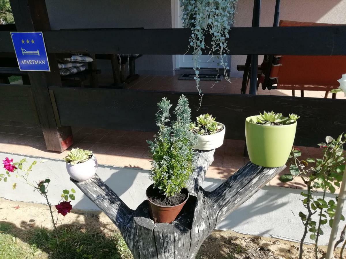 Apartman Adam Раковица Екстер'єр фото